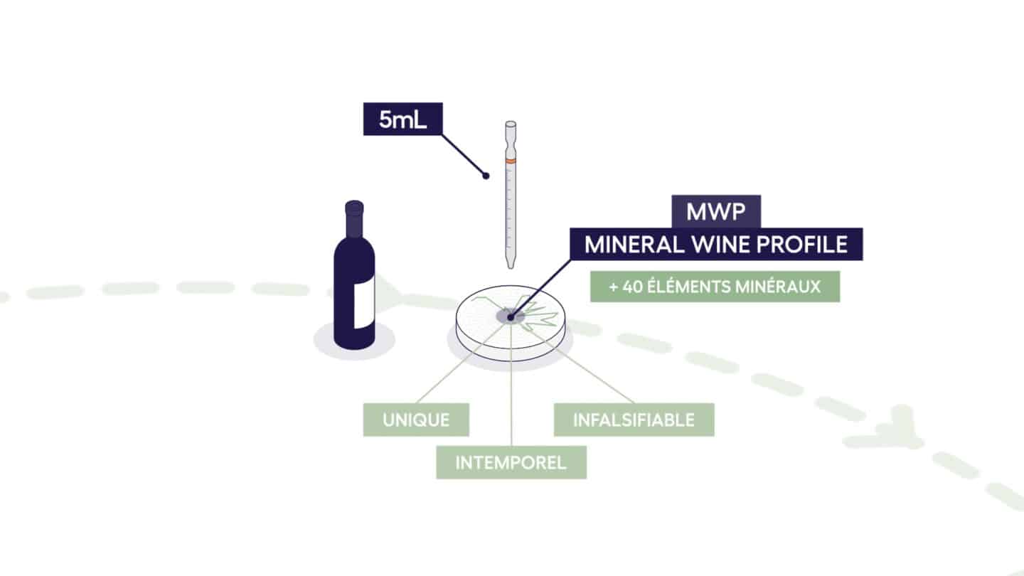 Illustration du MWP de M&Wine, Mineral Wine Profile